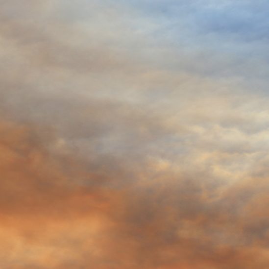 Valise ouverte contenant divers outils et fournitures organisés à l'intérieur.